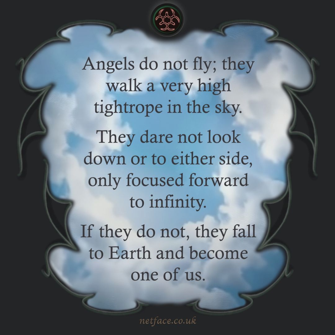 Angels fly